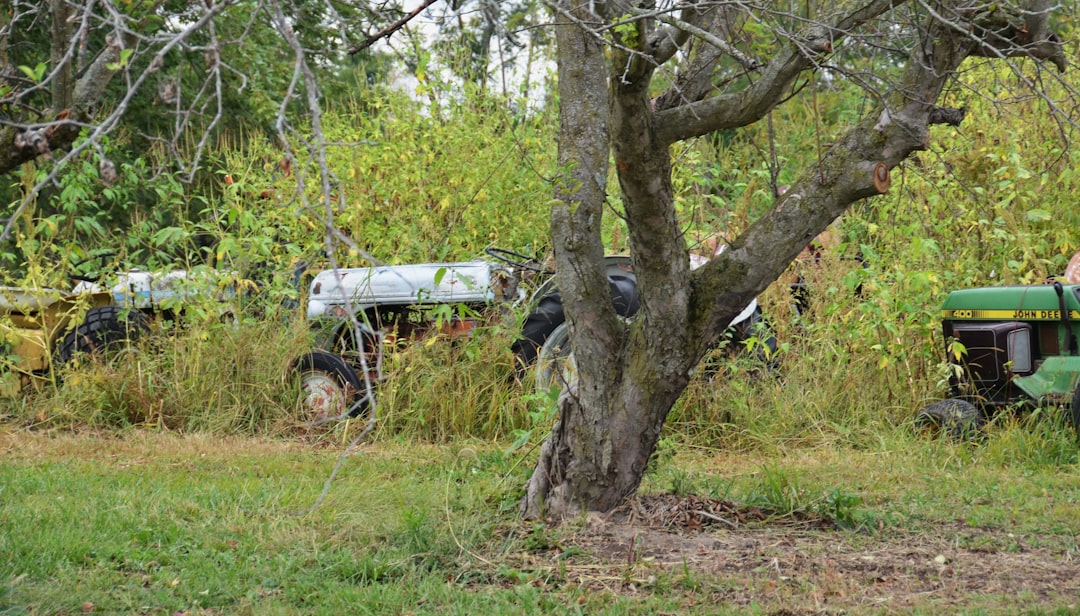 Compact tractor with rotary bush hog cutter clearing an overgrown McNairy County field at the start of summer